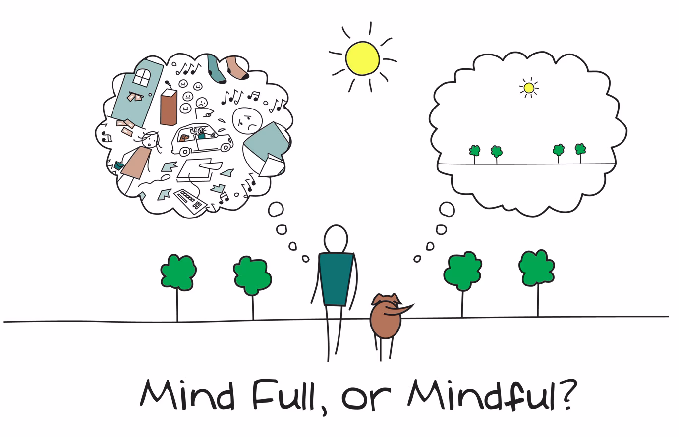 Mindfulness in de fysiotherapie  Daar zet ik even lekker mijn tanden in…